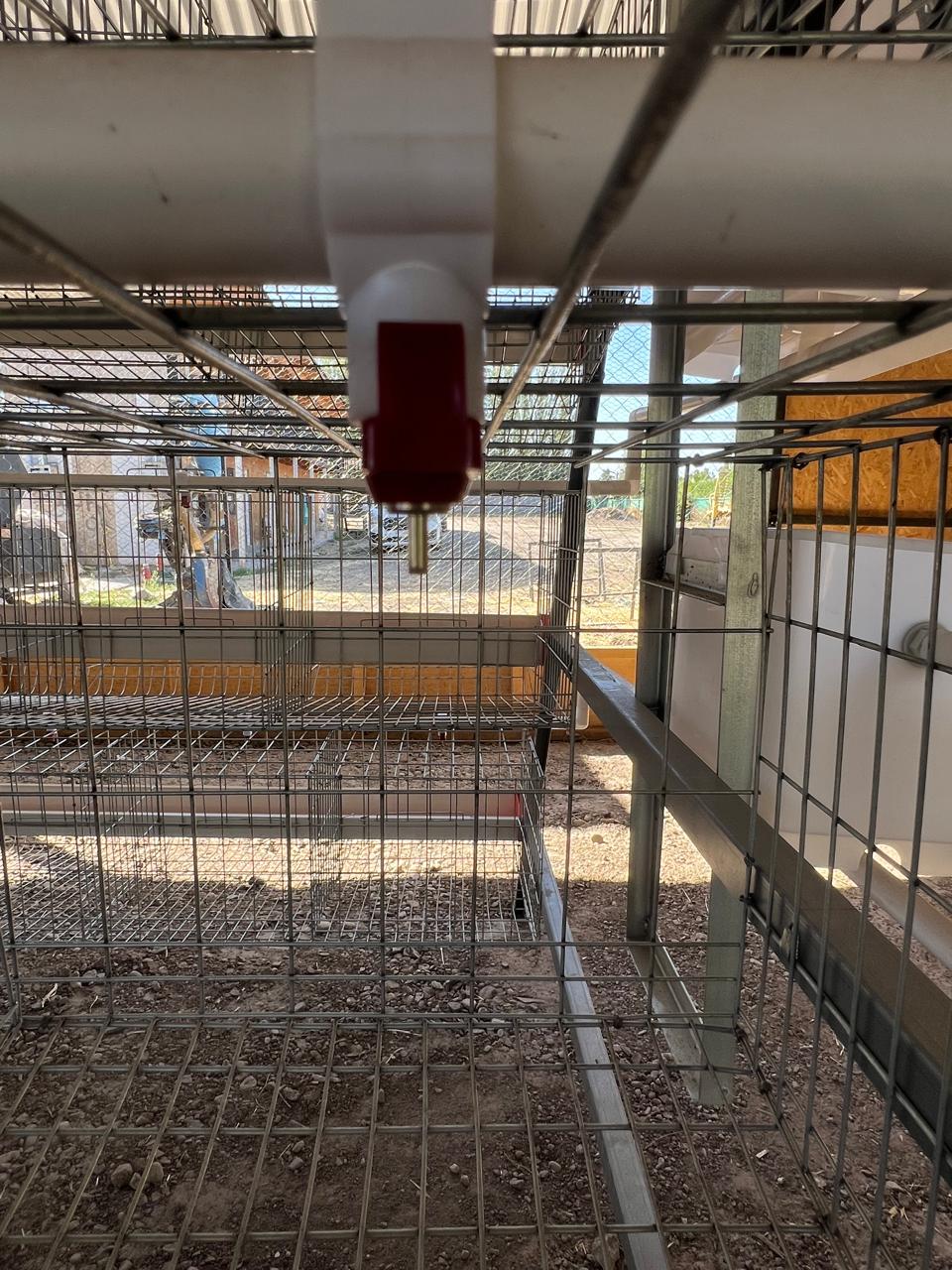 Bebedero de chupete en detalle